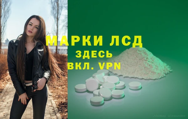 индика Нея