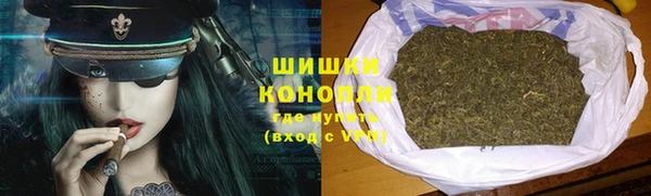 МДПВ Нефтегорск