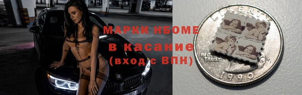 индика Нея