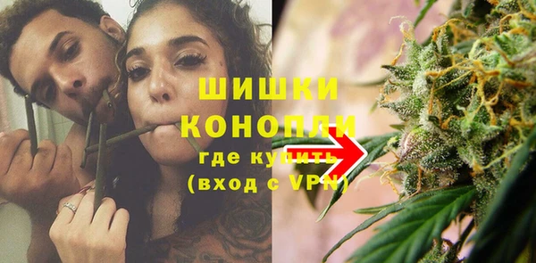 индика Нея