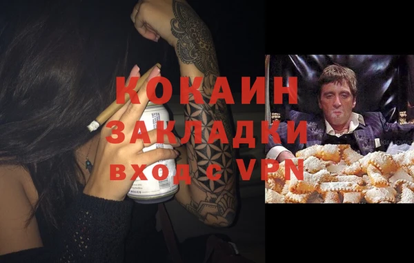 индика Нея