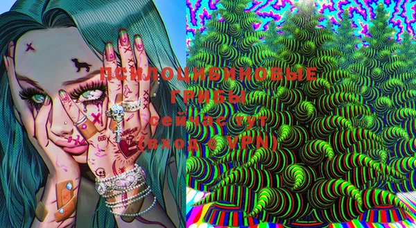 индика Нея